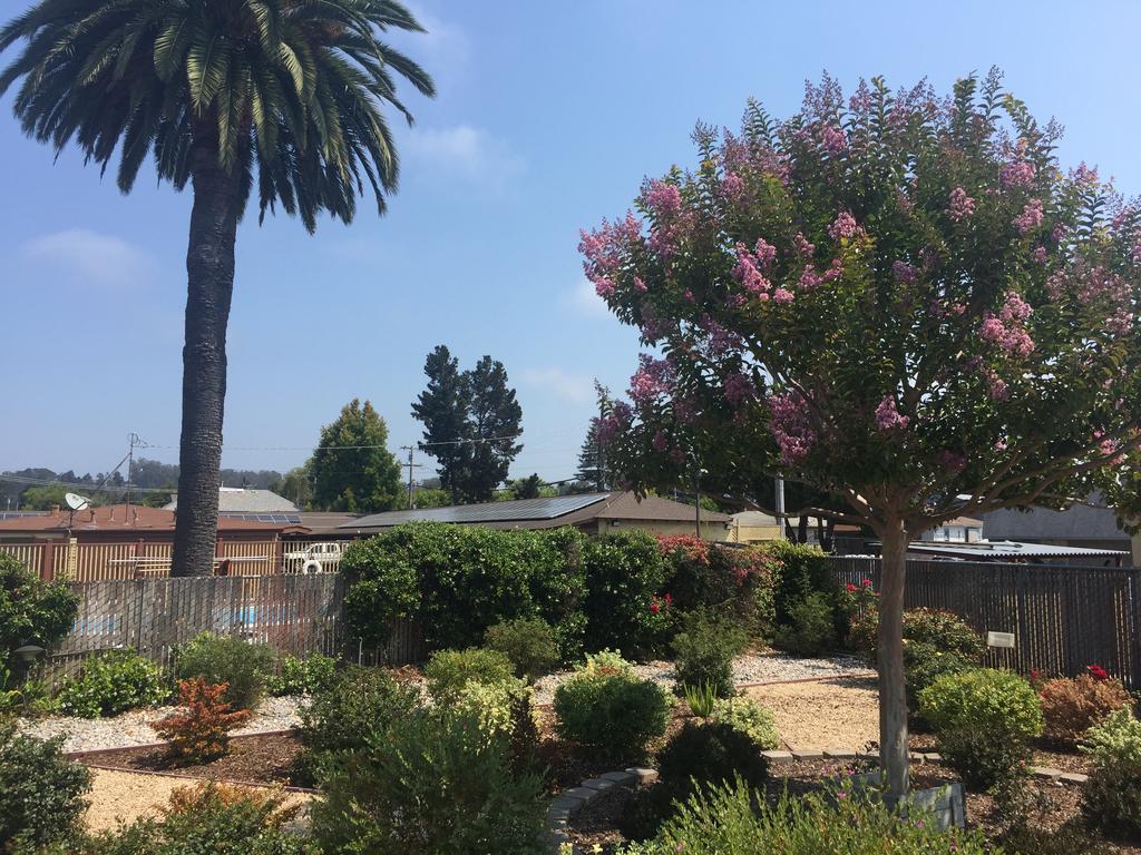 Hitching Post Studios Inn Santa Cruz Exterior photo